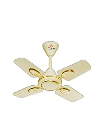 Tulip 24 Inch Decorative Ceiling Fan - Delux