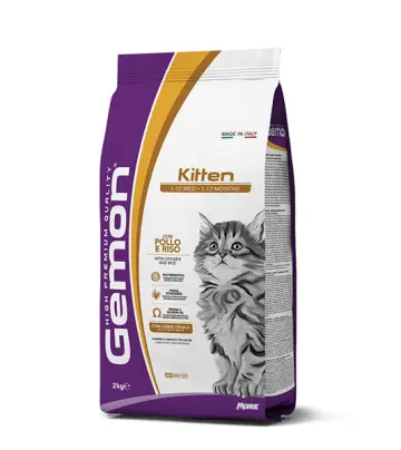 Gemon Kitten with Chicken and Rice