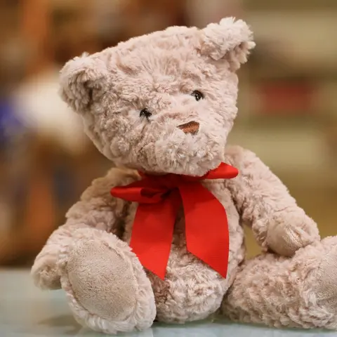 Classic Plush Teddy Bear