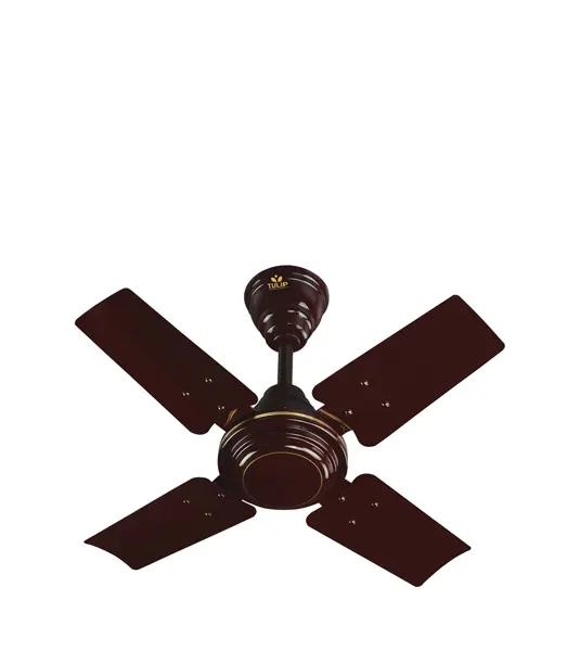 Tulip 24 Inch Decorative Ceiling Fan - Toofan